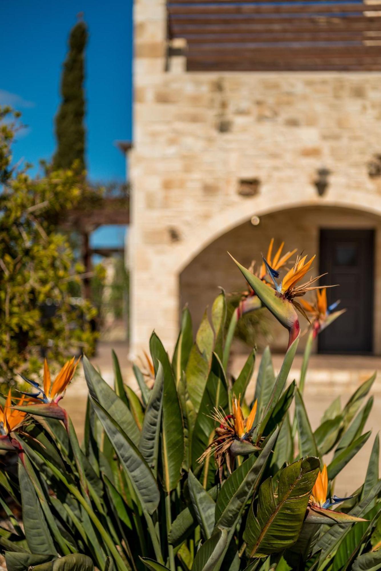 Villa Gloria Seaview - Luxury & Family Kokkino Chorio Dış mekan fotoğraf