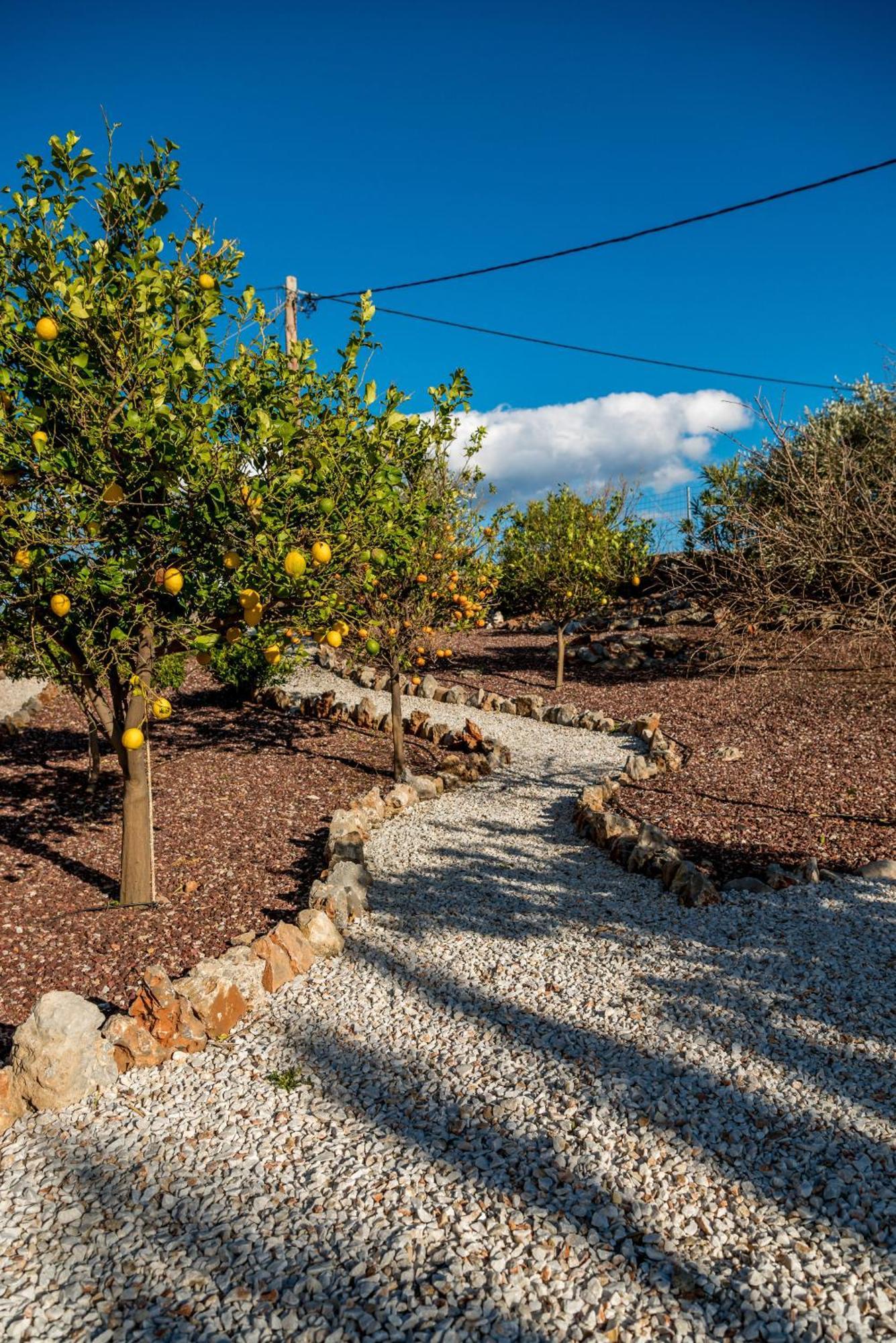 Villa Gloria Seaview - Luxury & Family Kokkino Chorio Dış mekan fotoğraf